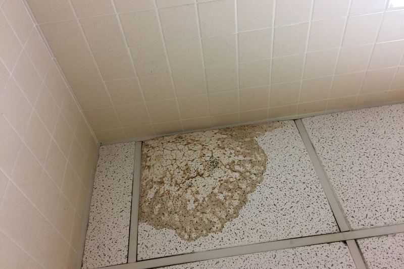 Ceiling showing water stains and damage from a leak